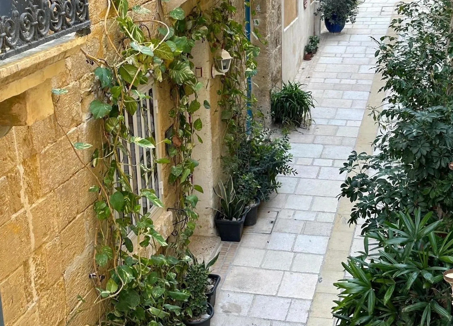 Felipe X Casa Norte Birgu Bed & Breakfast